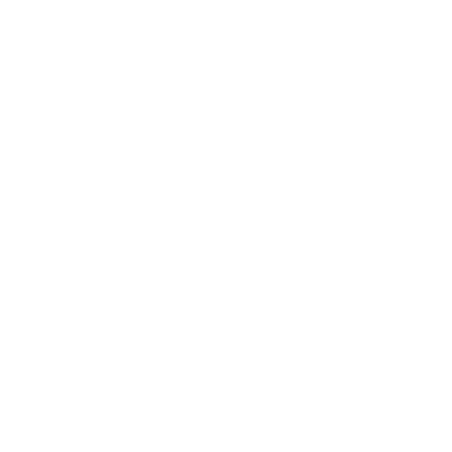 AltoAndino Agency